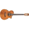 Ibanez EWN28KOE - NT 6 Nylon String Semi Acoustic Guitar