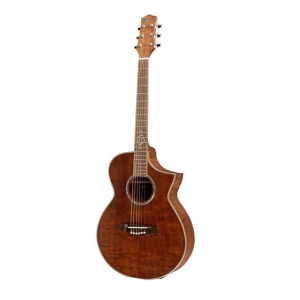 Ibanez EWC30QHE - RLG 6 String Semi Acoustic Guitar