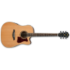 Ibanez V74ECE - OPN 6 String Semi Acoustic Guitar