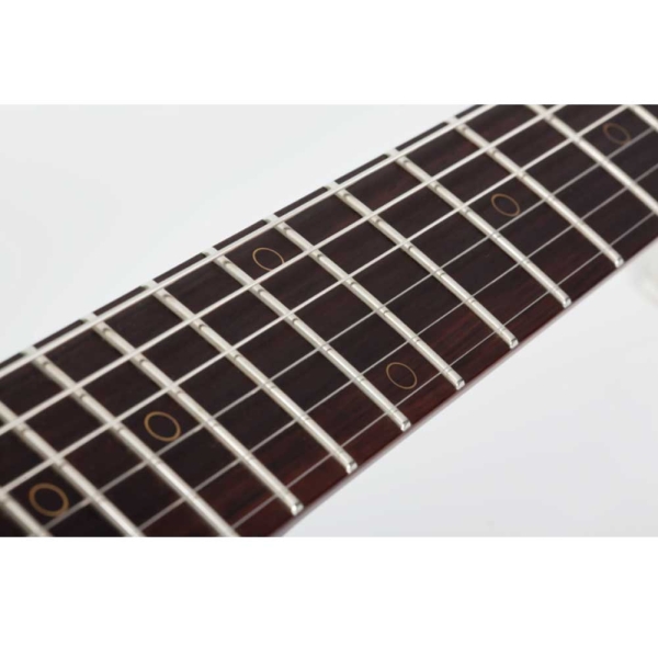 Schecter Nick Johnston Signature Traditional SSS Neck