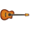 Ibanez A300E - VV 6 String Semi Acoustic Guitar