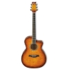 Ibanez A300E - VV 6 String Semi Acoustic Guitar