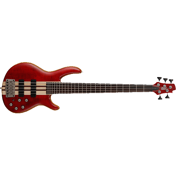 Cort A5 - OPBC 5 String Bass Guitar