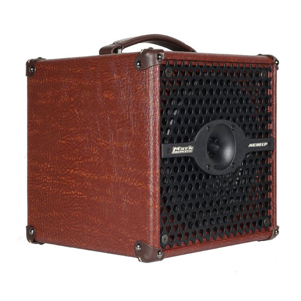 DV Mark AC 801P Acoustic Guitar 50 watts Combo Amplifier ACC125012Z