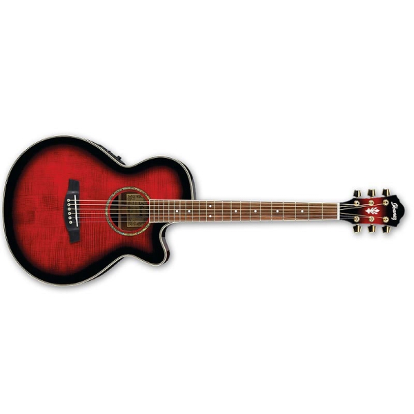 Ibanez AEG20E - TRS 6 String Semi Acoustic Guitar