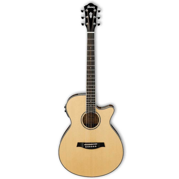 Ibanez AEG10II - NT 6 String Semi Acoustic Guitar