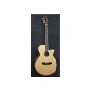 Ibanez AEG Series AEG10NII - BK 6 Nylon String Semi Acoustic Classical Guitar