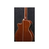 Ibanez AEG Series AEG10NII - NT 6 Nylon String Semi Acoustic Classical Guitar