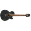 Ibanez AEG20E - TG 6 String Semi Acoustic Guitar