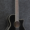 Ibanez AEG8TNE BLK AEG Series Thin Body Semi Acoustic Classical Guitar