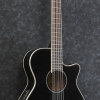 Ibanez AEG8TNE BLK AEG Series Thin Body Semi Acoustic Classical Guitar