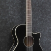 Ibanez AEG8TNE NAT AEG Series Thin Body Semi Acoustic Classical Guitar