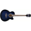 Ibanez AEL10E - MBS 6 String Semi Acoustic Guitar