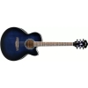Ibanez AEL10E - MBS 6 String Semi Acoustic Guitar Ibanez AEL10E - MBS 6 String Semi Acoustic Guitar