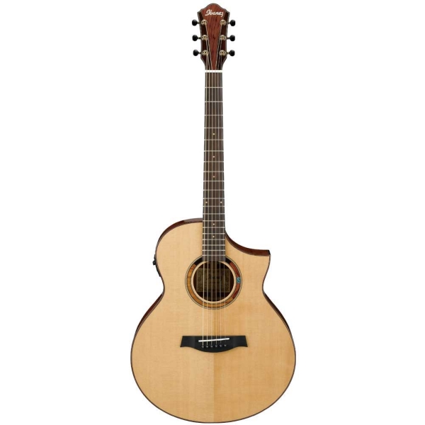 Ibanez AEW120BG - NT 6 String Semi Acoustic Guitar