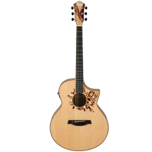 Ibanez AEW15LTD1 - NT 6 String Semi Acoustic Guitar
