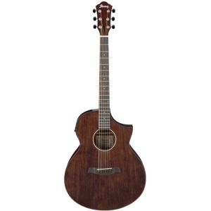Ibanez AEW40CD - NT 6 String Semi Acoustic Guitar