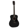 Cort AF510E BKS Concert Body w-Cort CE304T Electro Acoustic Guitar