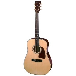 Ibanez Artwood Aw100-NT Acoustic Guitar