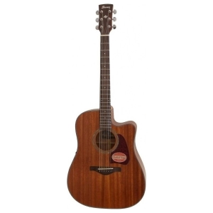 Ibanez Artwood AW240ECE - OPN 6 String Semi Acoustic Guitar