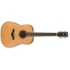 Ibanez Artwood AW250 - LG 6 String Acoustic Guitar
