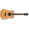Ibanez Artwood AW250 - LG 6 String Acoustic Guitar Ibanez Artwood AW250 - LG 6 String Acoustic Guitar