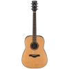 Ibanez Artwood AW250 - LG 6 String Acoustic Guitar Ibanez Artwood AW250 - LG 6 String Acoustic Guitar