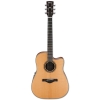 Ibanez Artwood AW250ECE - LG 6 String Semi Acoustic Guitar