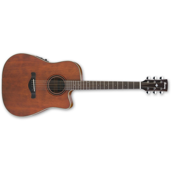 Ibanez Artwood AW250ECE - RTB 6 String Semi Acoustic Guitar