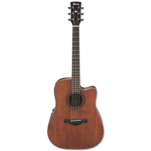 Ibanez Artwood AW250ECE - RTB 6 String Semi Acoustic Guitar