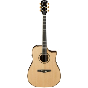 Ibanez ACS1150ECE - NT 6 String Semi Acoustic Guitar