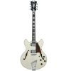 D`Angelico Premier DC Champagne With Stairstep Semi Hollow Body Electric Guitar DAPDCCMPCTCB D`Angelico Premier DC Champagne With Stairstep Semi Hollow Body Electric Guitar DAPDCCMPCTCB