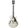 D`Angelico Premier SS Champagne with Stopbar Semi Hollow Body Electric Guitar DAPSSCMPCSCB D`Angelico Premier SS Champagne with Stopbar Semi Hollow Body Electric Guitar DAPSSCMPCSCB