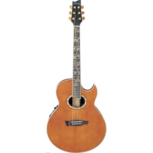 Ibanez EP9 Euphoria Steve Vai Signature Series Semi Acoustic Guitar