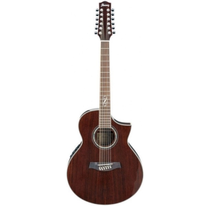 Ibanez EW2012WNE - NT 12 String Semi Acoustic Guitar
