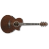 Ibanez EW20WNE - NT 6 String Semi Acoustic Guitar