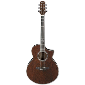 Ibanez EW20WNE - NT 6 String Semi Acoustic Guitar