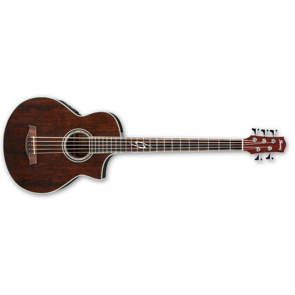 Ibanez EWB205WNE - NT 5 String Semi Acoustic Bass Guitar