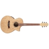 Ibanez EWC30ASE - RLG 6 String Semi Acoustic Guitar