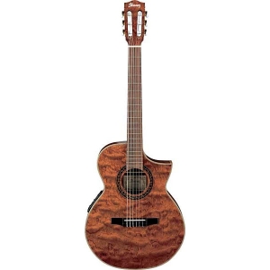 Ibanez EWN28BGE - NT Nylon 6 String Semi Acoustic Guitar