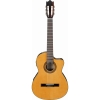 Ibanez G5ECE - AM 6 Nylon String Semi Acoustic Classical Guitar