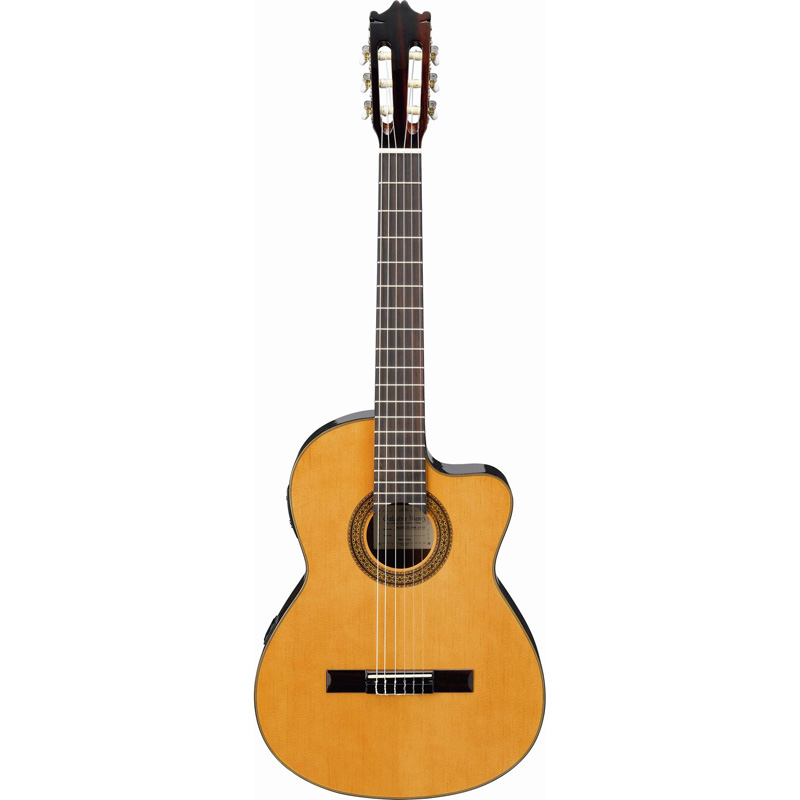 Ibanez G5ECE AM 6 Nylon String Semi Acoustic Classical Guitar