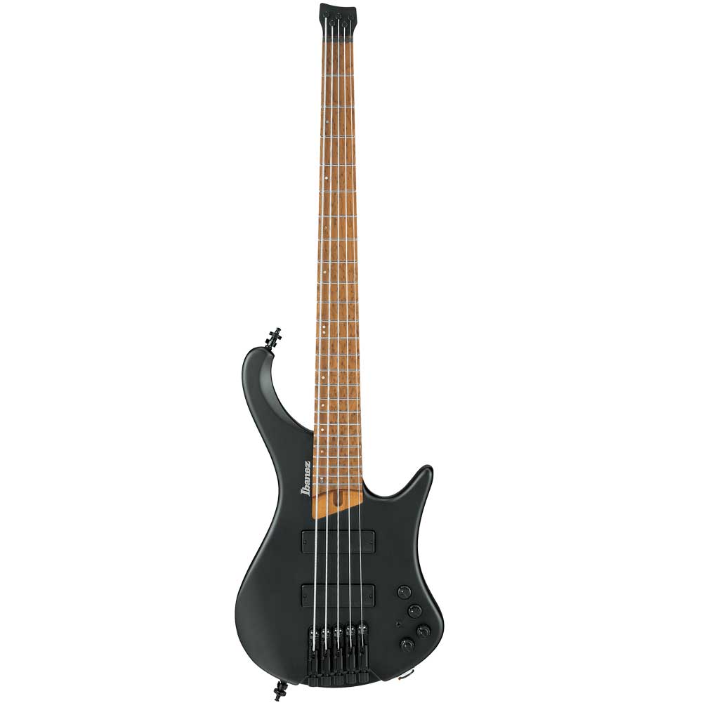 Ibanez ehb 6 string discount