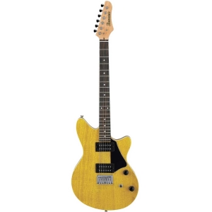 Ibanez RC220 TMT Roadcore Series 6 String Electric Guitar