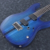 Ibanez RG Iron Label RGIT20FE - SBF 6 String Electric Guitar