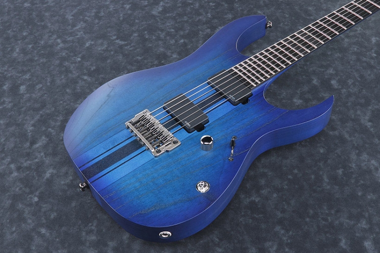 Ibanez RG Iron Label RGIT20FE – SBF 6 String Electric Guitar ...