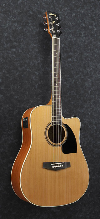 Ibanez pf17ece discount