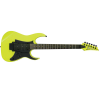 Ibanez Premium RG2XXV - FYE 6 String Electric Guitar