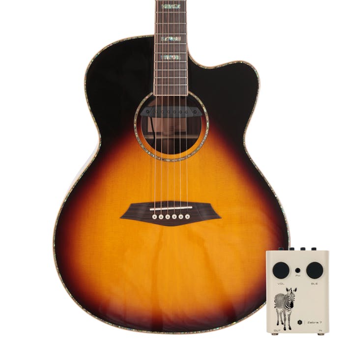 Sire R3 GZ VS Zebra 7 Original Outboard Preamp Grand Auditorium Cutaway Acoustic Guitar Musicians Cart