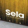 Sela SE-067 Varios Cajon Gold Explore the Sela Sound